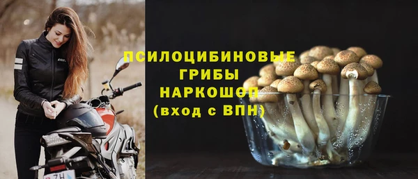 СК Абинск