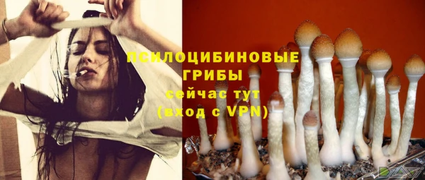 дживик Лабытнанги